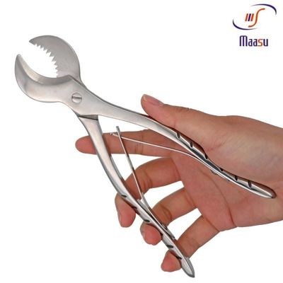 스테인레스 강 치과용 회반죽 어린아이들 18CM 치주 도구